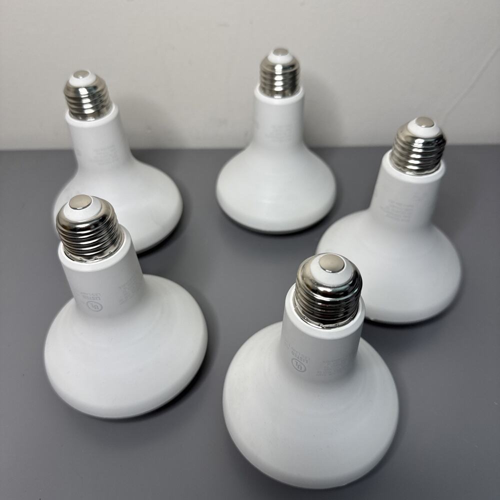 LED bulb, Pack of 5, 4EU2 Ecosmart Daylight Flood Light 700 Lumens TESTED